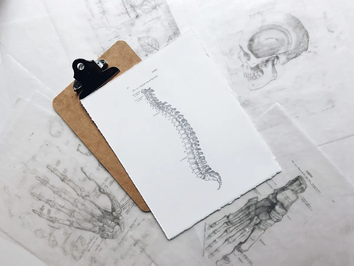 back pain chiropractor